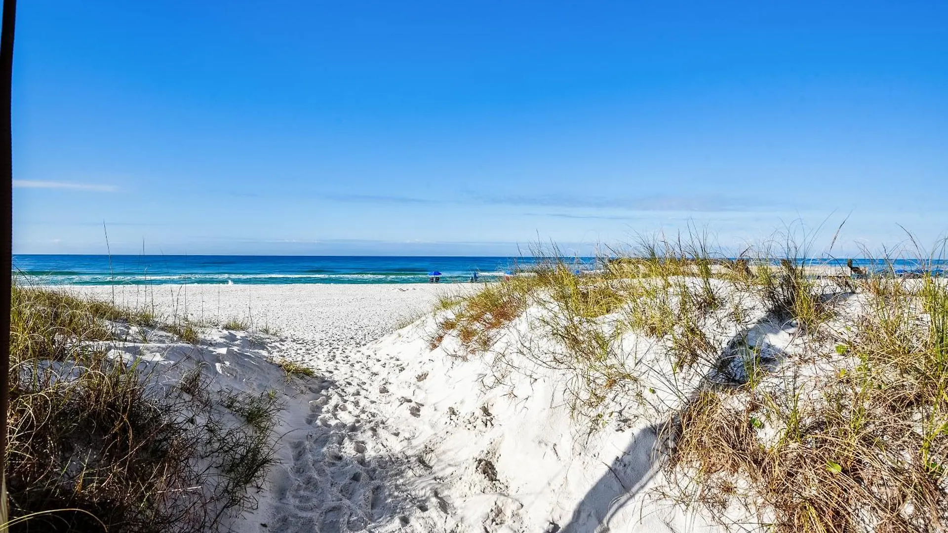 Sunbird 102E By Book That Condo Panama City Beach 0*,  United States