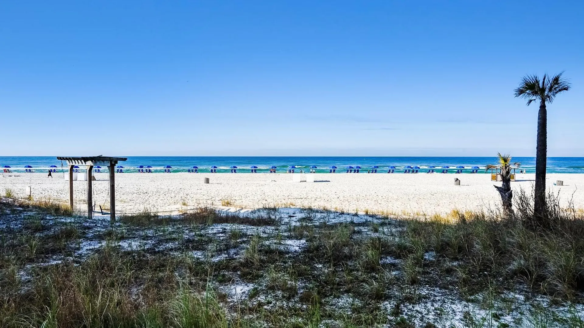 Sunbird 102E By Book That Condo Panama City Beach
